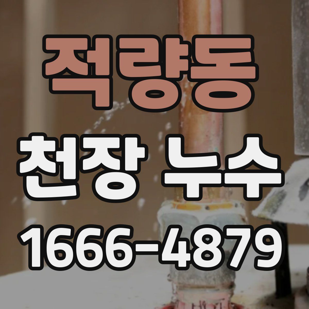 적량동 천장 누수