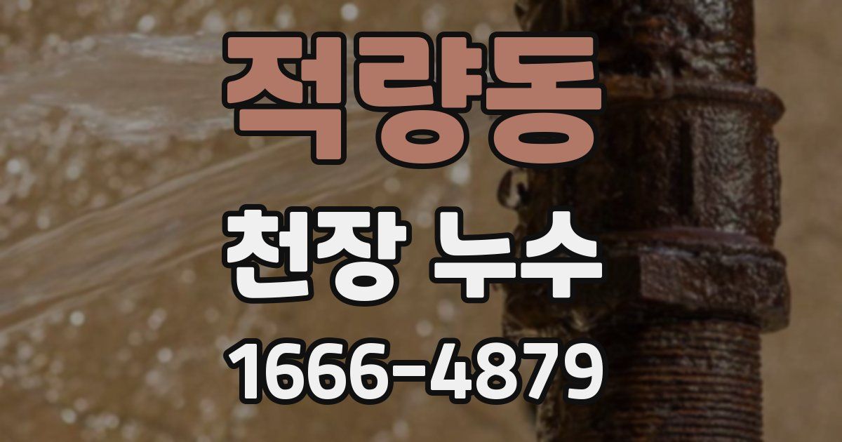 적량동 천장 누수