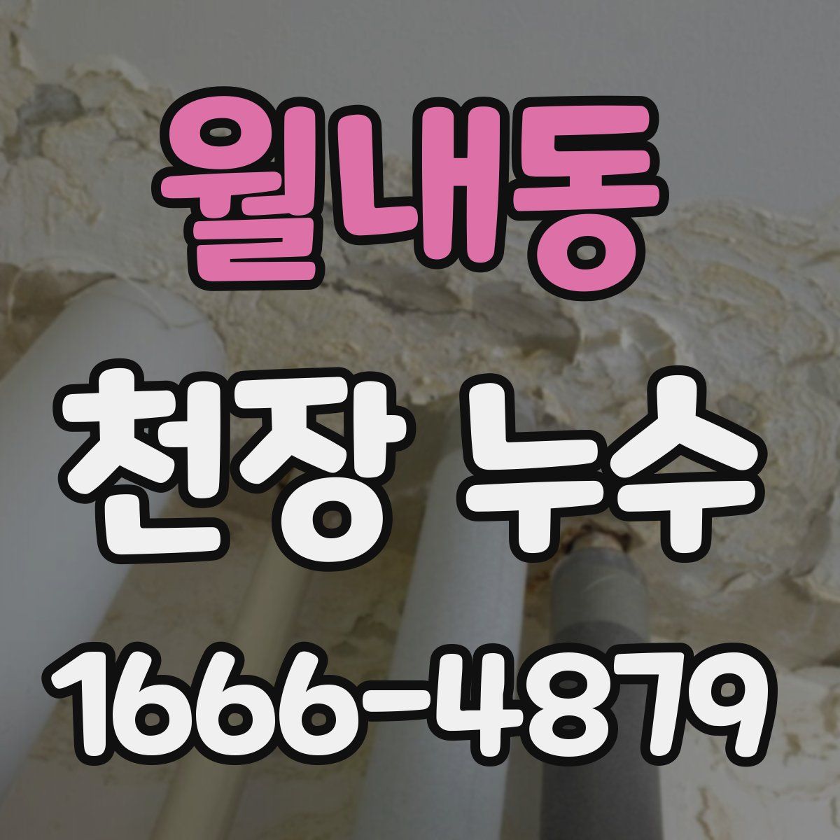 월내동 천장 누수