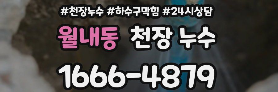 월내동 천장 누수