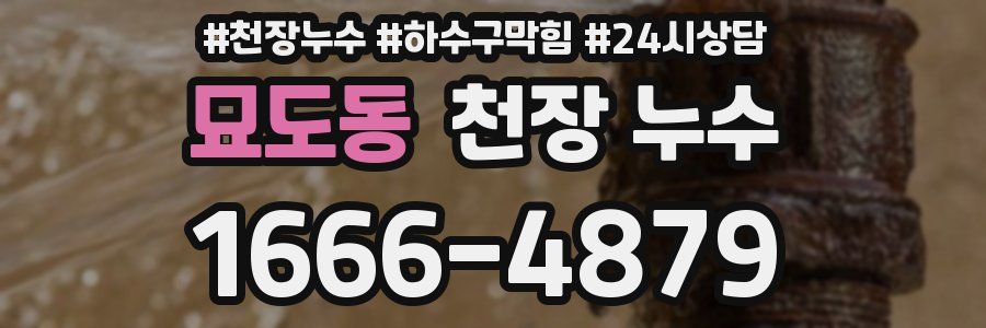 묘도동 천장 누수