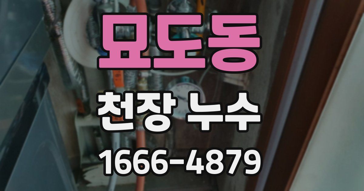 묘도동 천장 누수