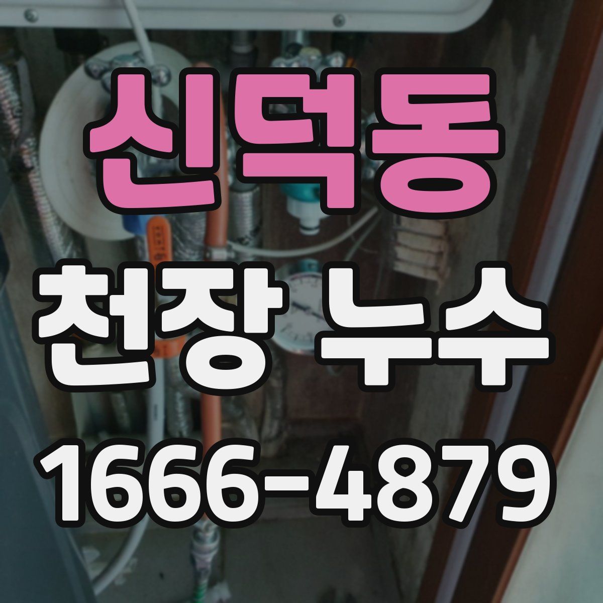 신덕동 천장 누수