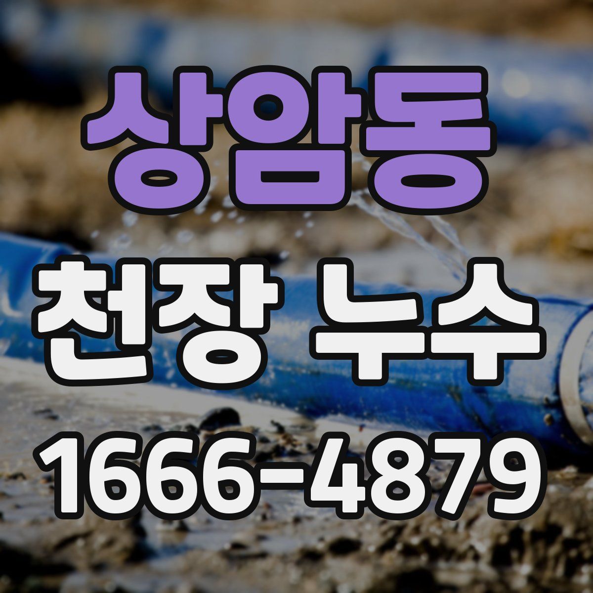 상암동 천장 누수