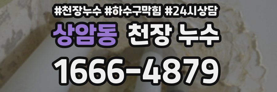 상암동 천장 누수