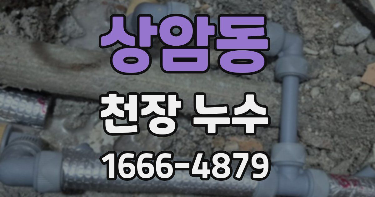 상암동 천장 누수