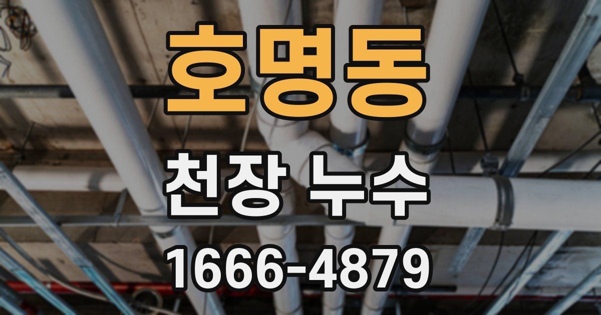 호명동 천장 누수