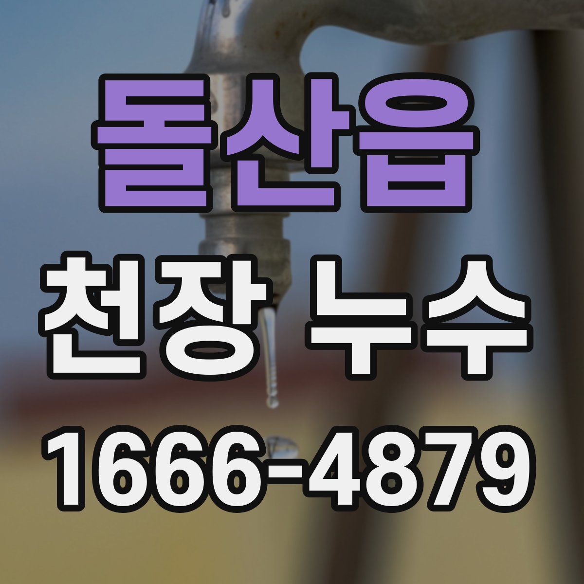 돌산읍 천장 누수