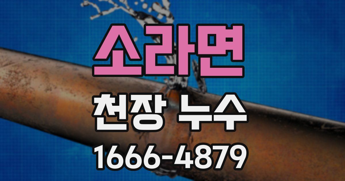소라면 천장 누수