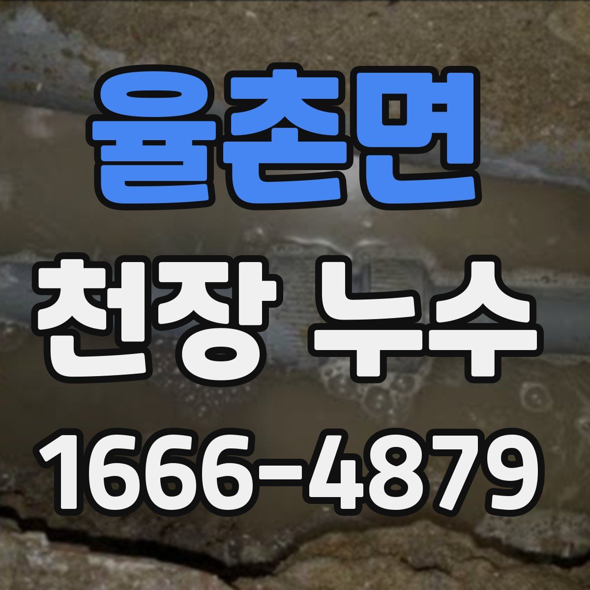 율촌면 천장 누수