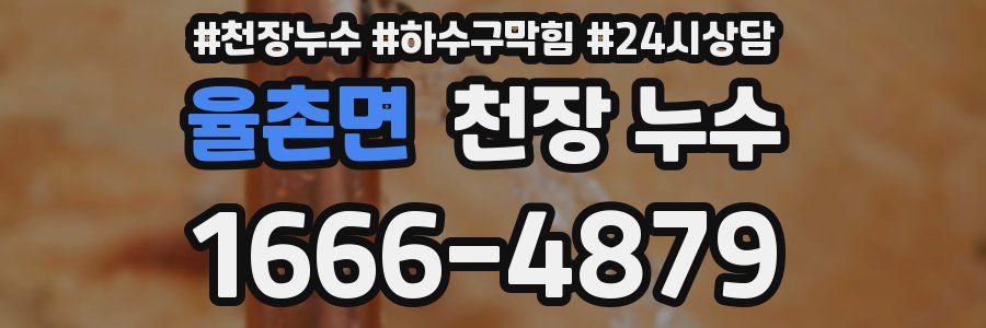 율촌면 천장 누수