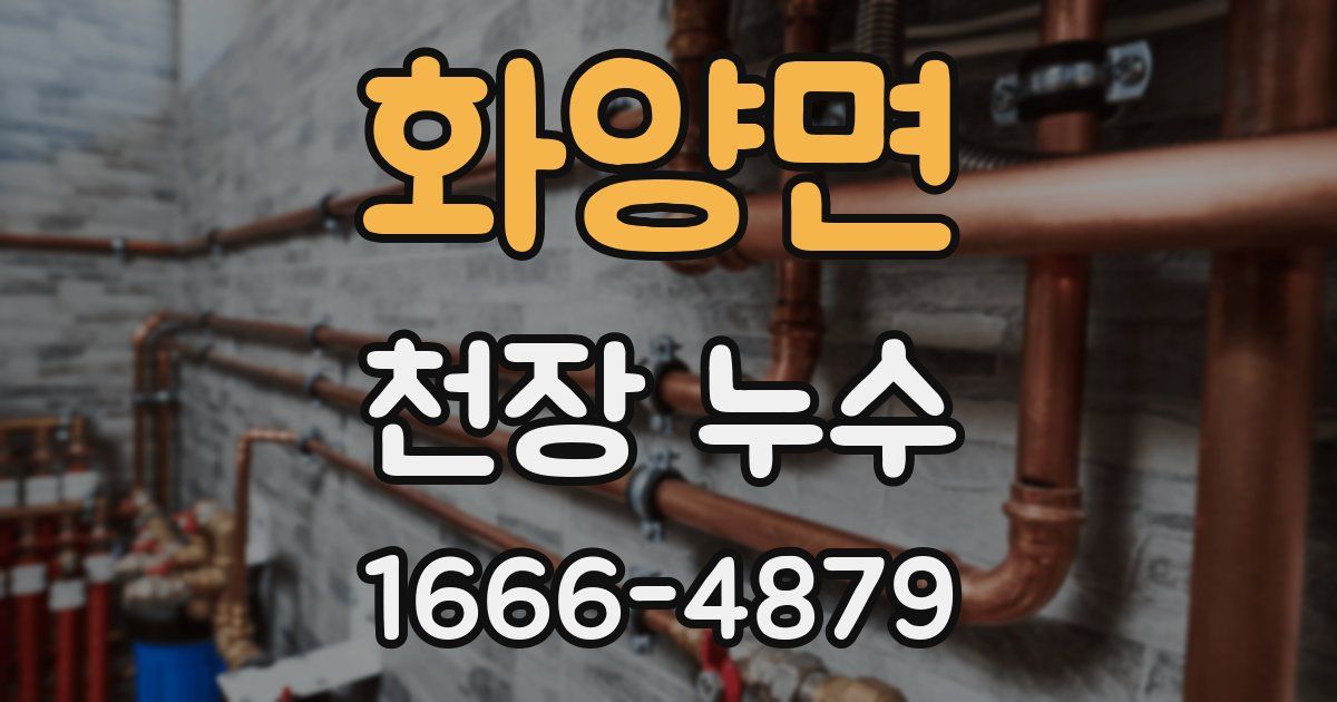 화양면 천장 누수