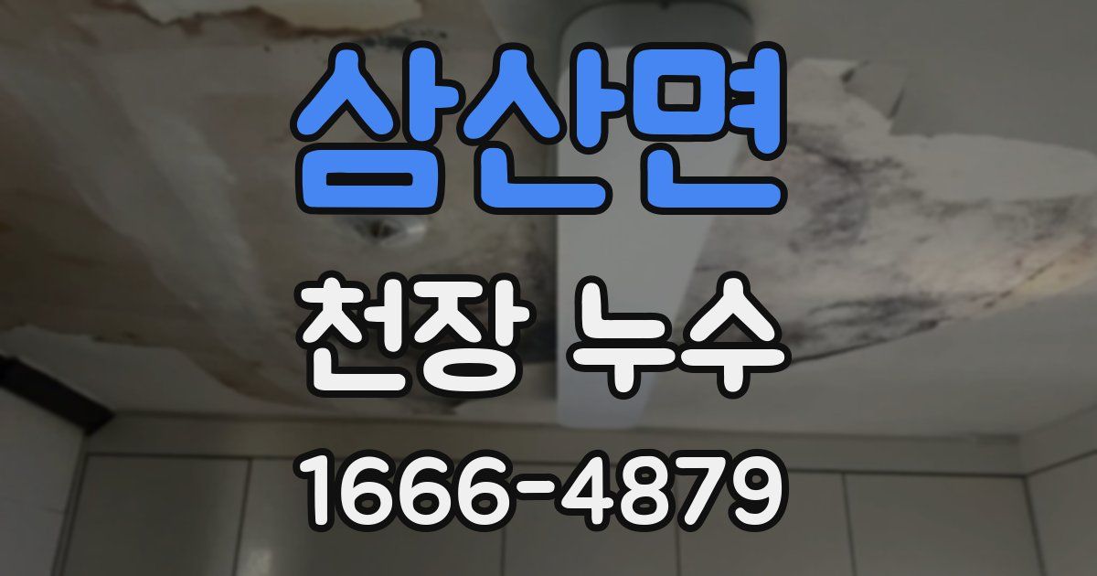삼산면 천장 누수