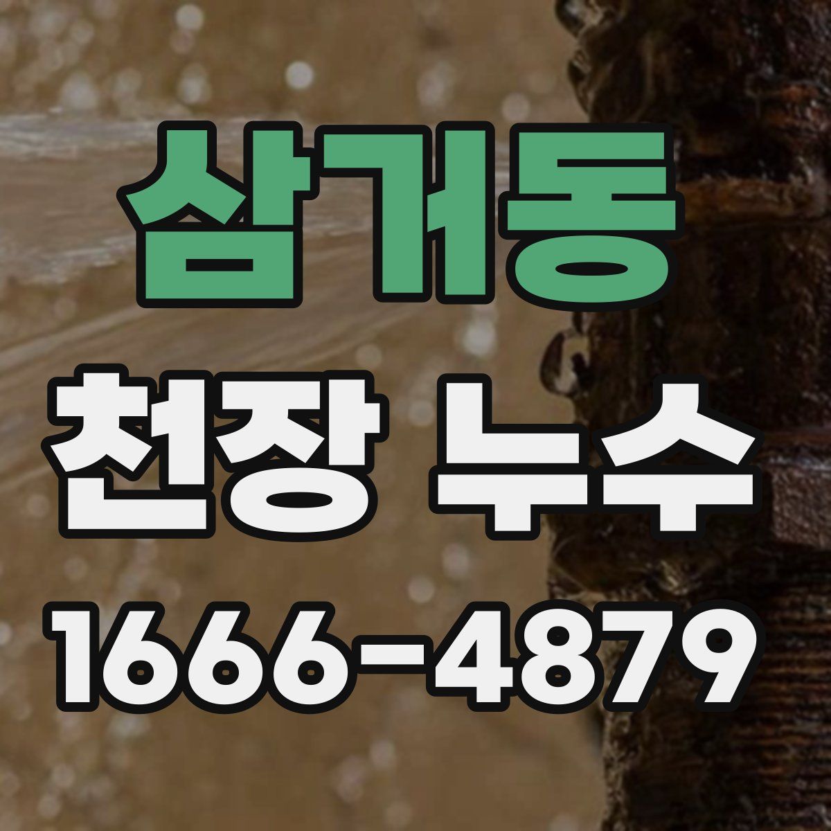 삼거동 천장 누수