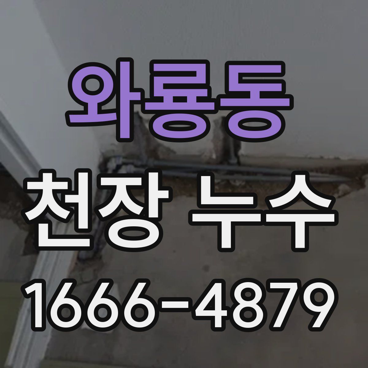 와룡동 천장 누수