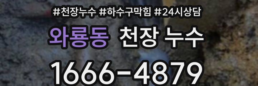 와룡동 천장 누수