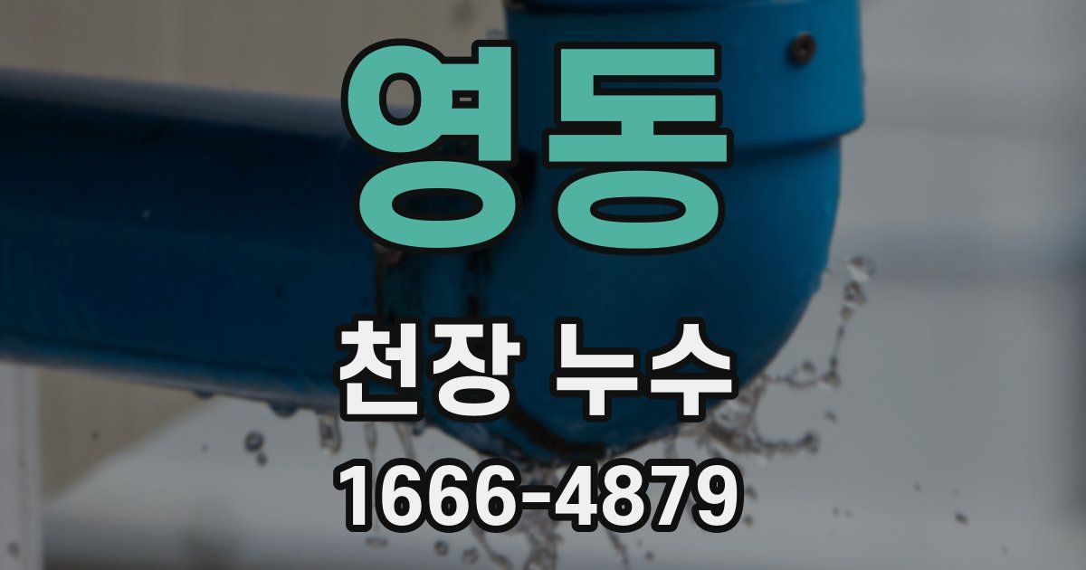 영동 천장 누수