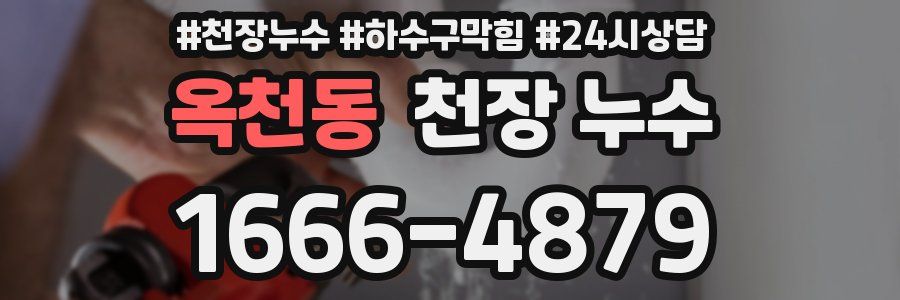 옥천동 천장 누수