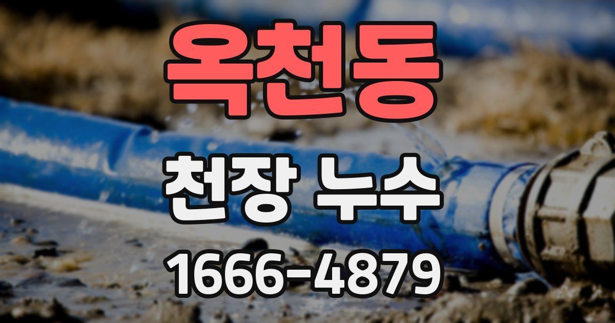 옥천동 천장 누수