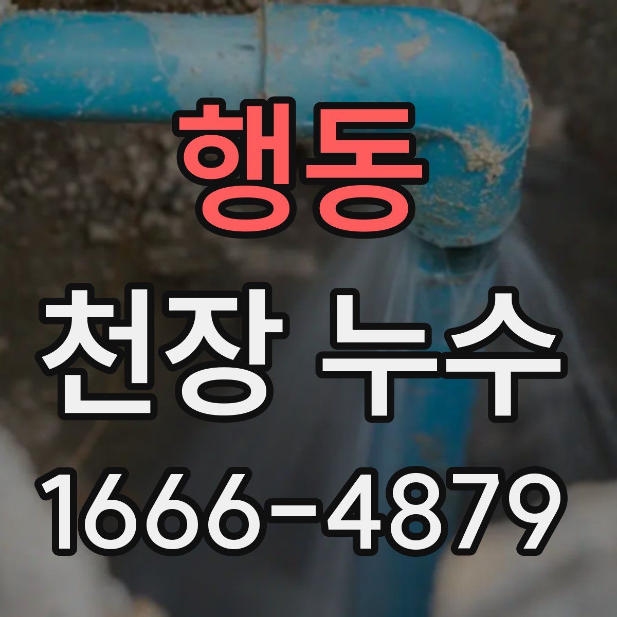 행동 천장 누수