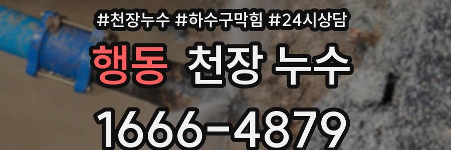 행동 천장 누수