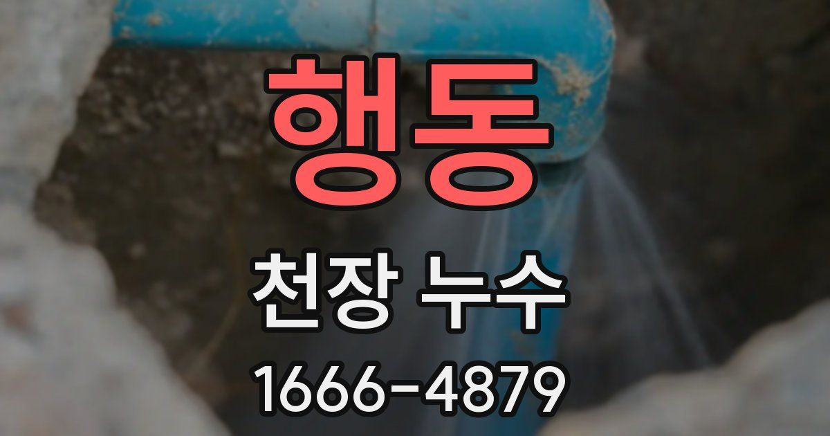 행동 천장 누수