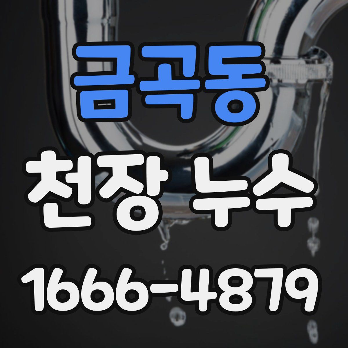 금곡동 천장 누수