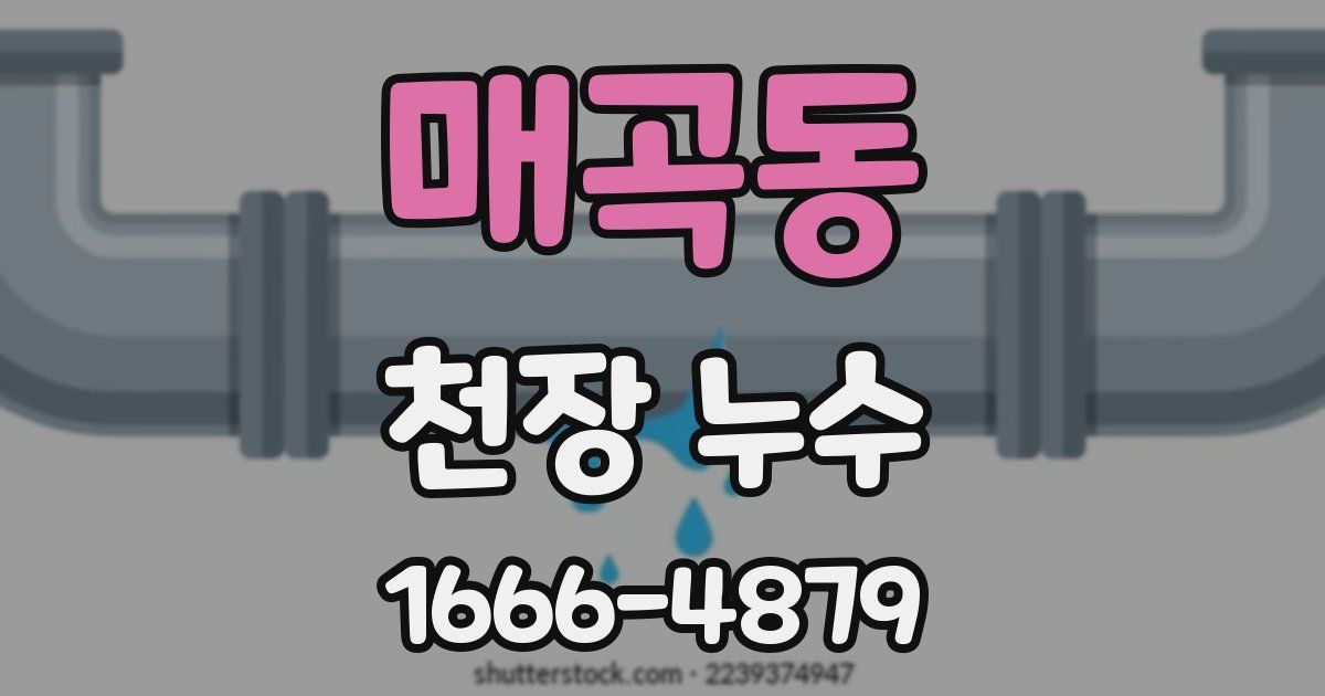 매곡동 천장 누수