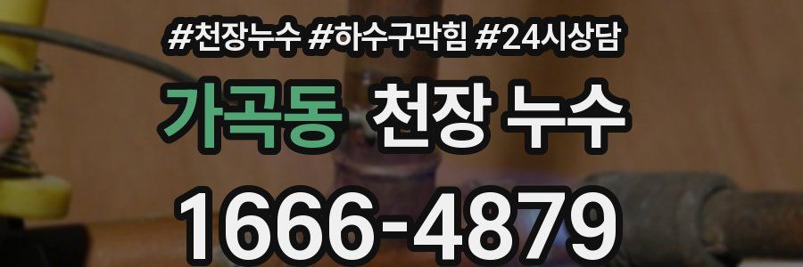 가곡동 천장 누수