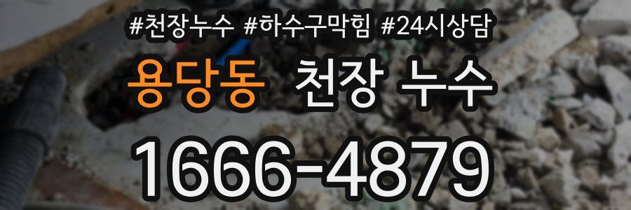 용당동 천장 누수