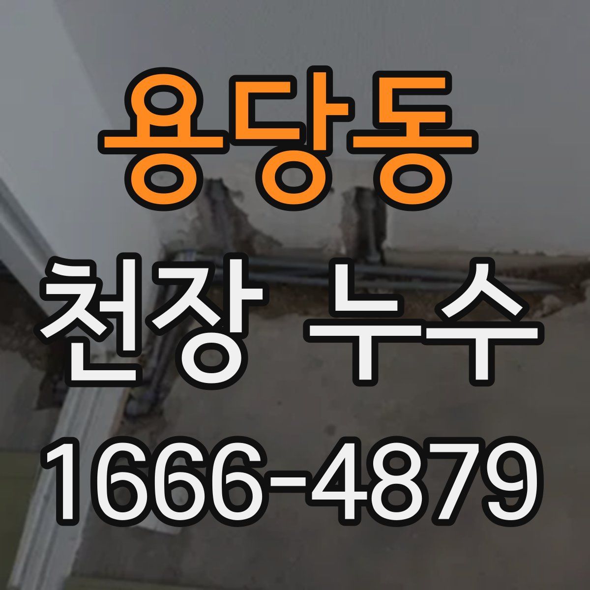 용당동 천장 누수