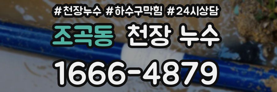 조곡동 천장 누수