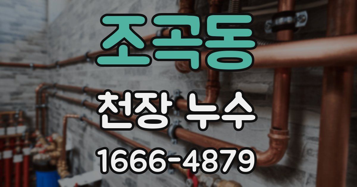 조곡동 천장 누수