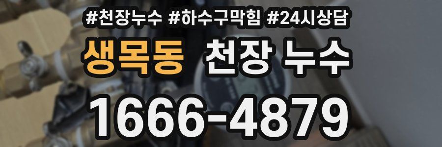 생목동 천장 누수