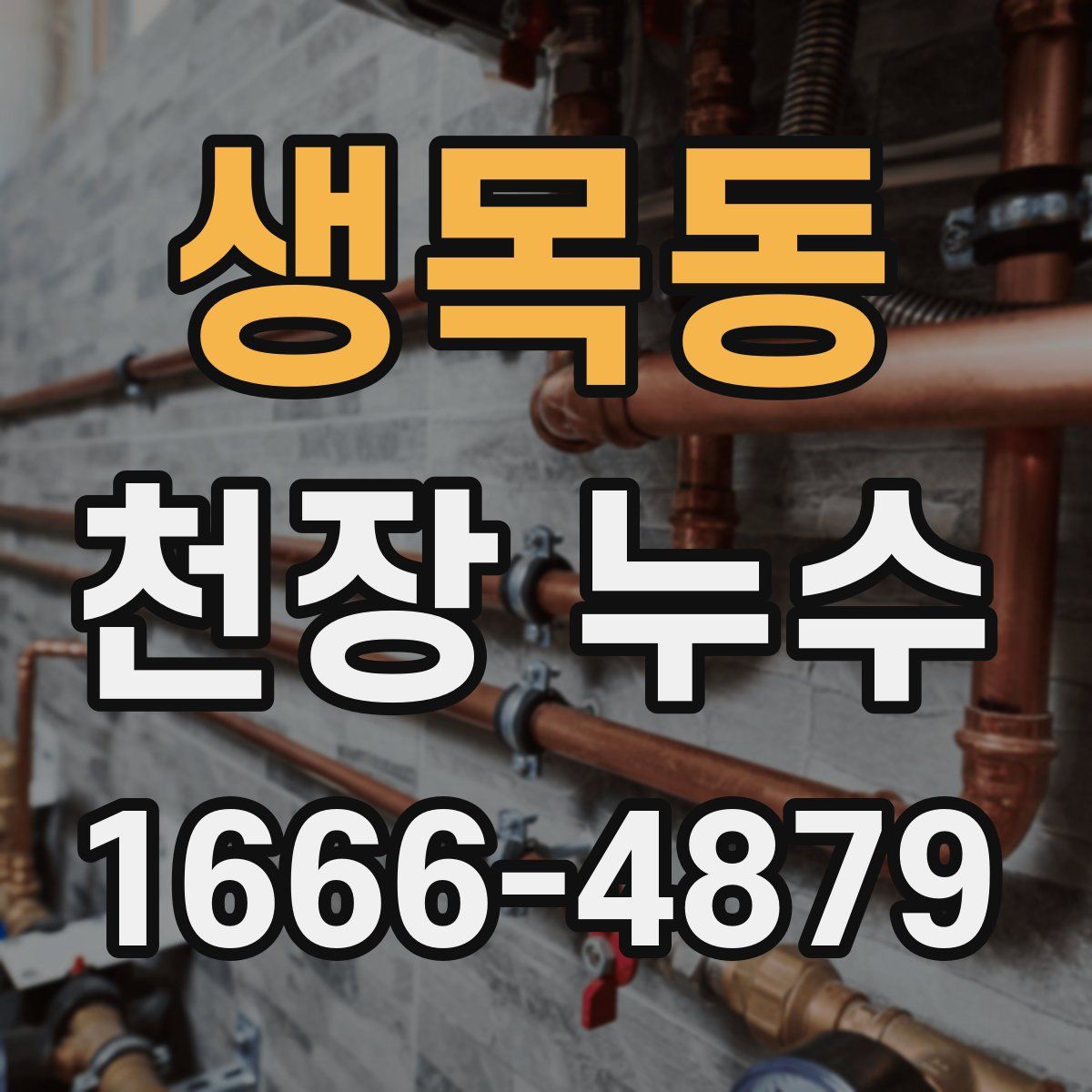 생목동 천장 누수