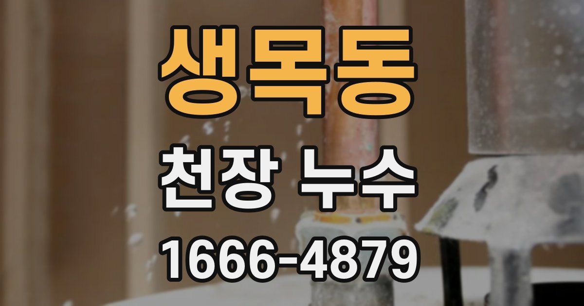 생목동 천장 누수