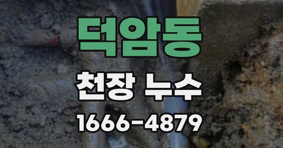 덕암동 천장 누수