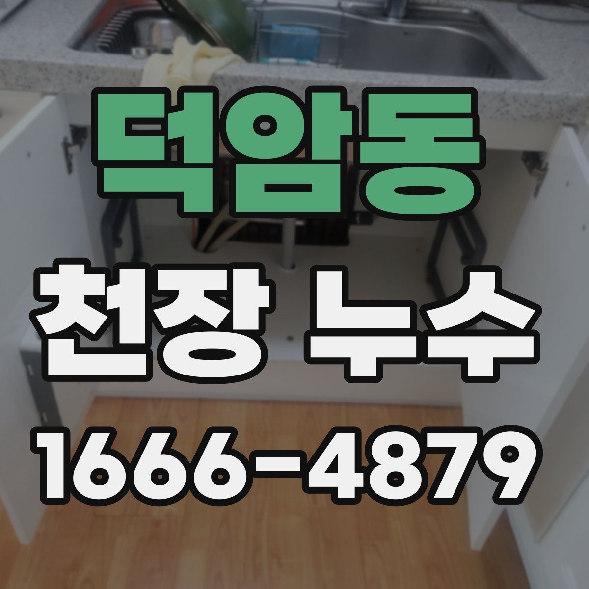 덕암동 천장 누수