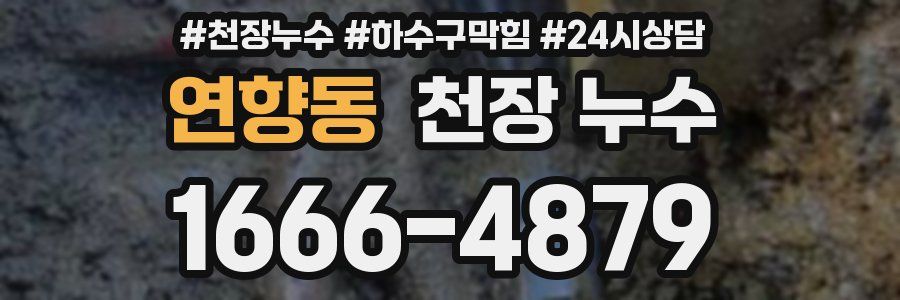 연향동 천장 누수