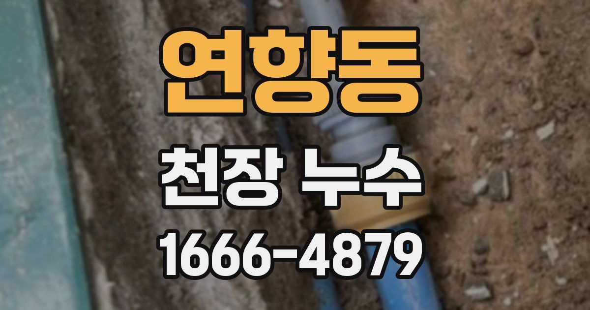 연향동 천장 누수