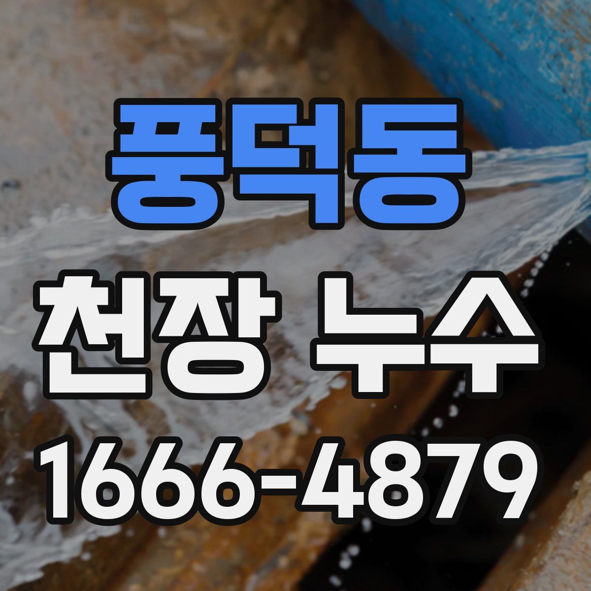 풍덕동 천장 누수