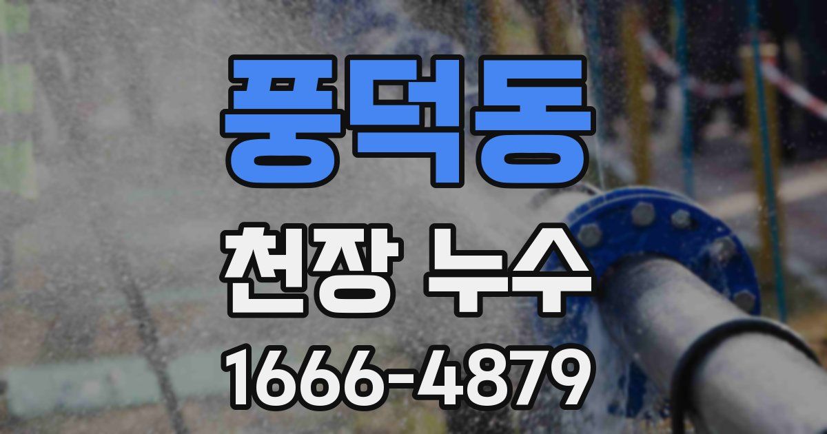 풍덕동 천장 누수