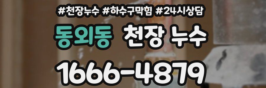 동외동 천장 누수