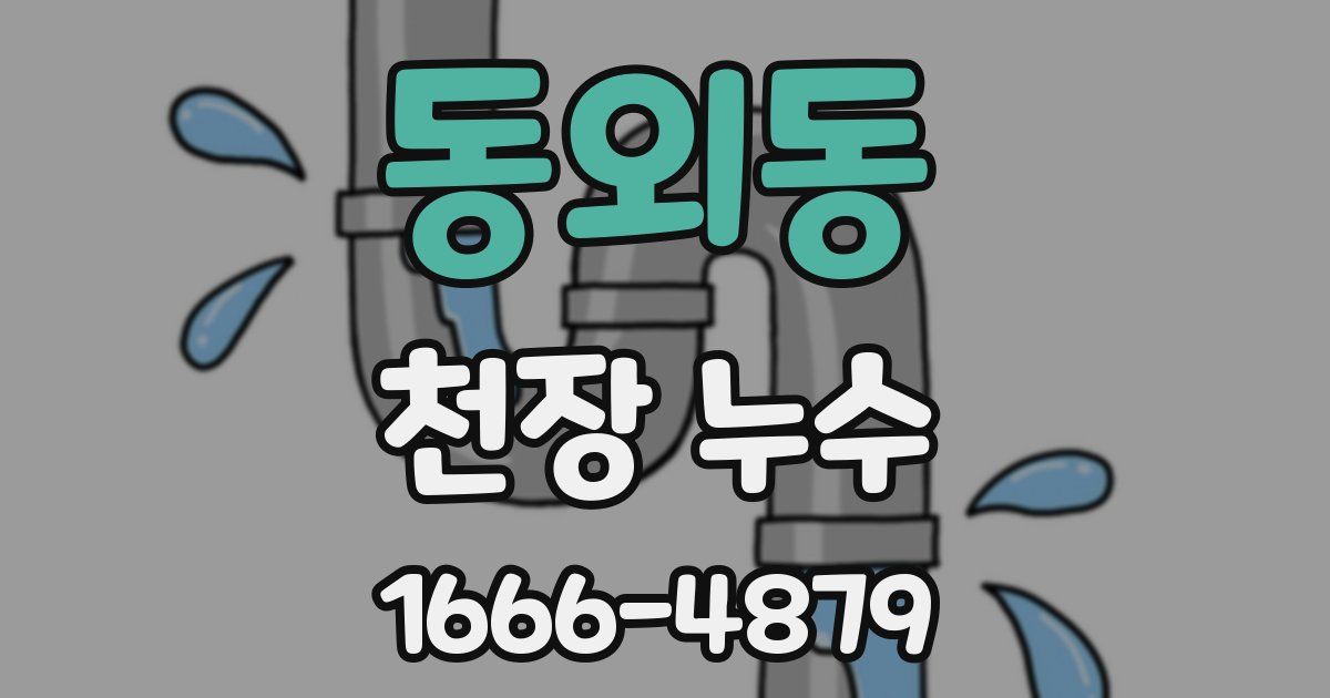 동외동 천장 누수