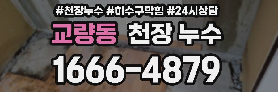 교량동 천장 누수