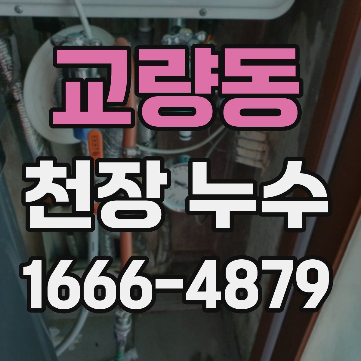 교량동 천장 누수