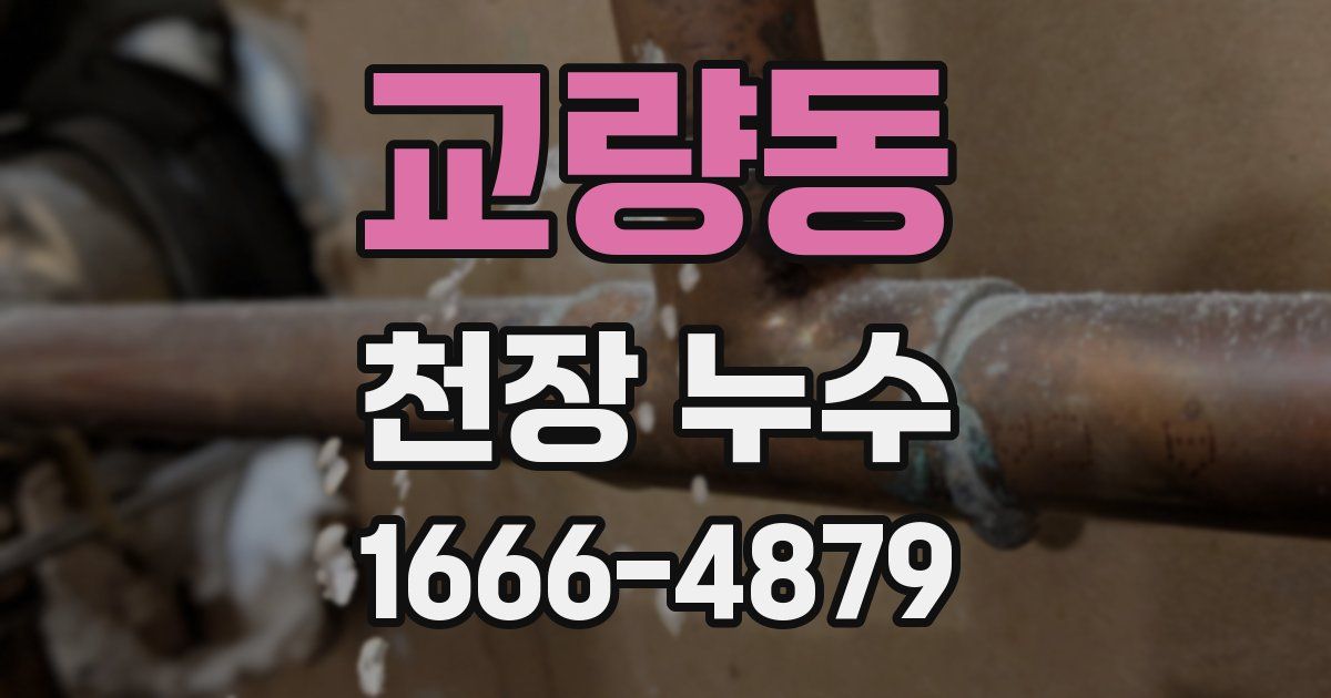 교량동 천장 누수