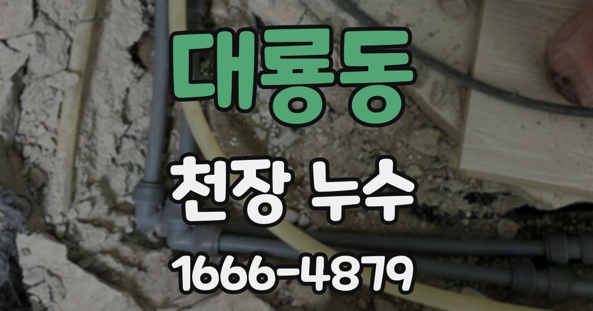 대룡동 천장 누수