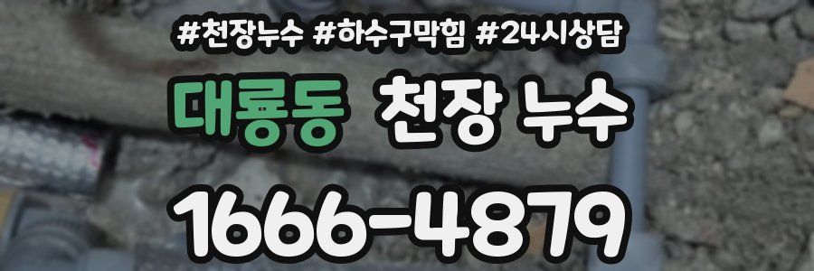 대룡동 천장 누수