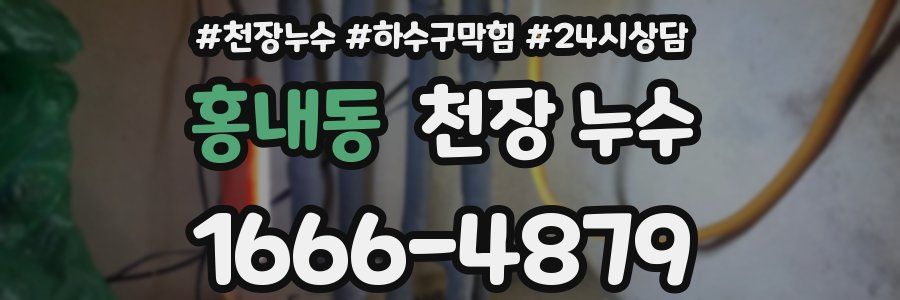 홍내동 천장 누수